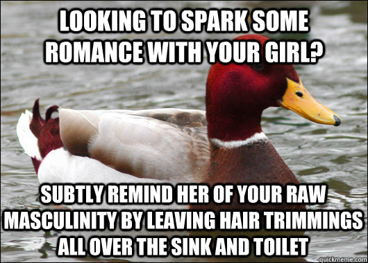 LOOKING TO SPARK SOME ROMANCE with your girl? subtly remind her of your raw masculinity by leaving hair trimmings all over the sink and toilet  Malicious Advice Mallard