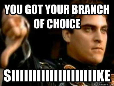 YOU GOT YOUR BRANCH OF CHOICE  SIIIIIIIIIIIIIIIIIIIIKE   Downvoting Roman