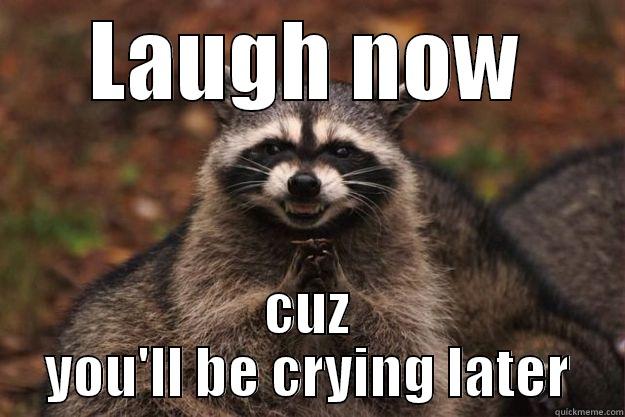 LAUGH NOW CUZ YOU'LL BE CRYING LATER Evil Plotting Raccoon