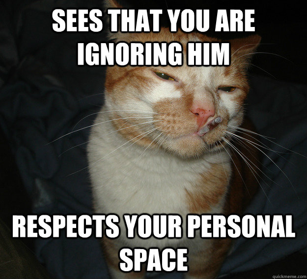sees that you are ignoring him respects your personal space - sees that you are ignoring him respects your personal space  Cool Cat Craig