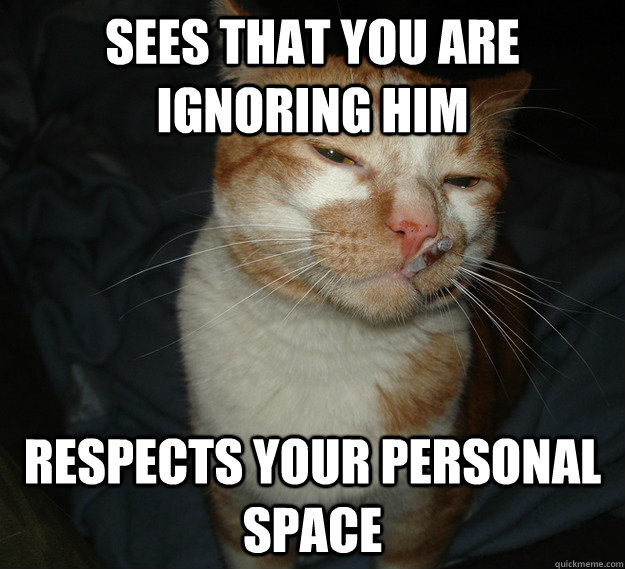sees that you are ignoring him respects your personal space  Cool Cat Craig