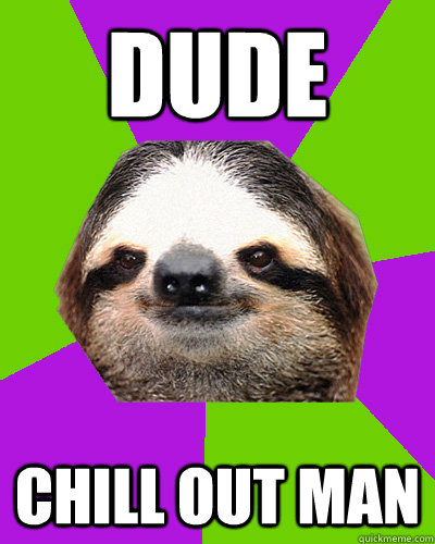 dude chill out man - dude chill out man  Weed sloth