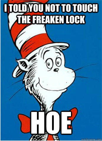 i told you not to touch the freaken lock  hoe  The Cat in the Hat