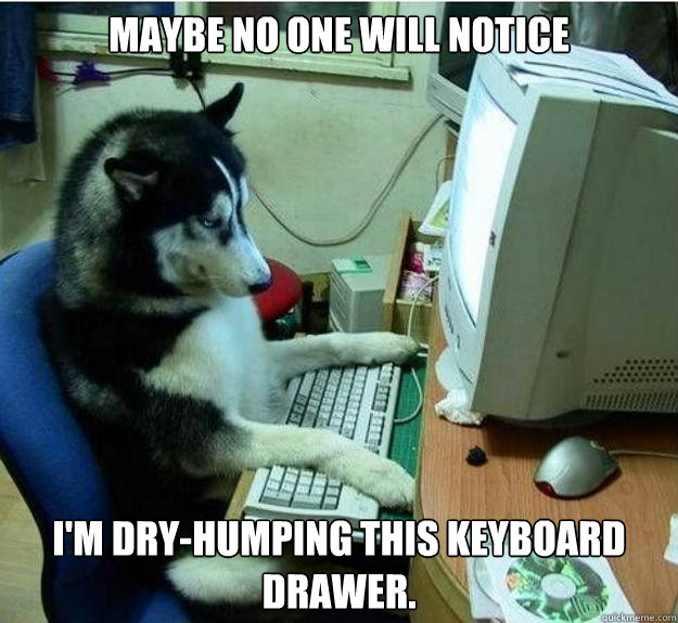 Maybe no one will notice i'm dry-humping this keyboard drawer. - Maybe no one will notice i'm dry-humping this keyboard drawer.  Disapproving Dog