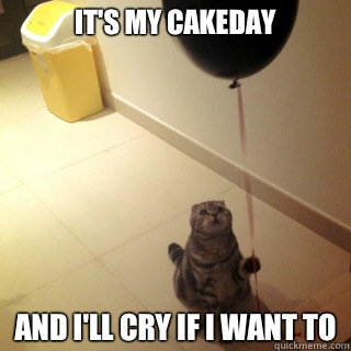 It's my Cakeday And I'll cry if I want to  Sad Birthday Cat
