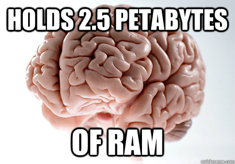 Holds 2.5 petabytes of ram  Scumbag Brain