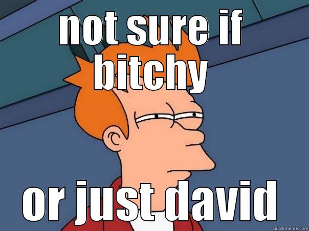 NOT SURE IF BITCHY OR JUST DAVID Futurama Fry
