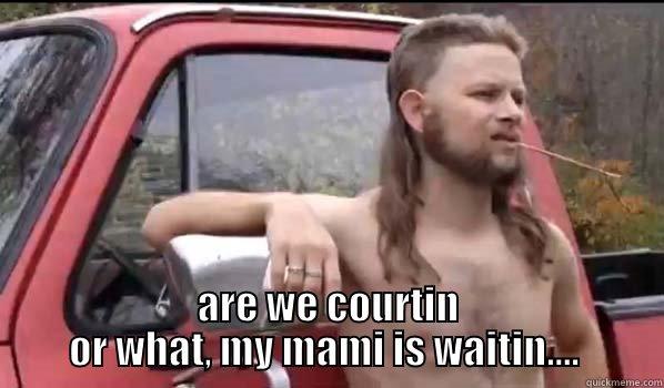 HINDER ME THINK -  ARE WE COURTIN OR WHAT, MY MAMI IS WAITIN....  Almost Politically Correct Redneck