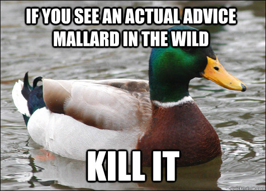If you see an actual advice mallard in the wild kill it  Actual Advice Mallard