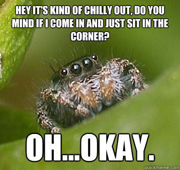 Hey it's kind of chilly out, do you mind if I come in and just sit in the corner? Oh...Okay.  Misunderstood Spider