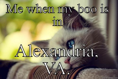 ME WHEN MY BOO IS IN ALEXANDRIA, VA. First World Problems Cat