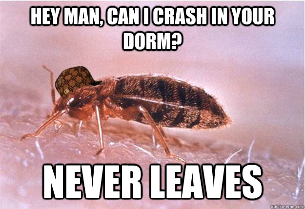 Hey man, can i crash in your dorm? Never leaves  Scumbag Bed Bug