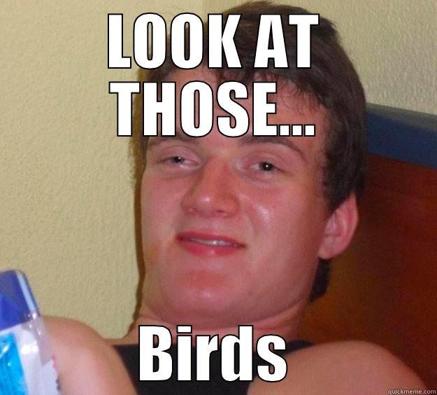 LOOK AT THOSE... BIRDS 10 Guy