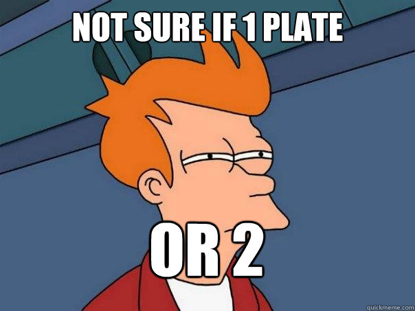 Not sure if 1 plate or 2 - Not sure if 1 plate or 2  Futurama Fry