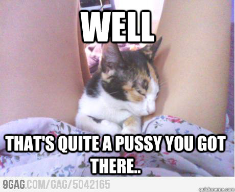 Well That's quite a pussy you got there..  Hairy pussy