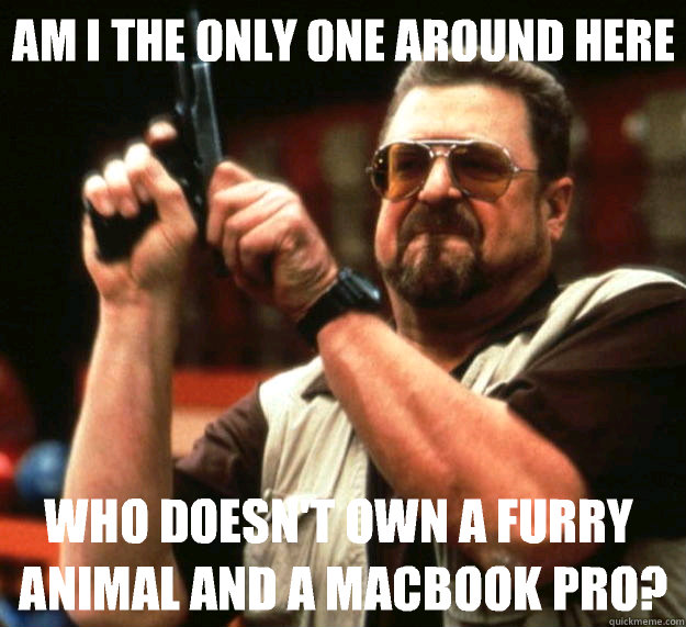 Am I the only one around here Who doesn't own a furry animal and a macbook pro? - Am I the only one around here Who doesn't own a furry animal and a macbook pro?  Big Lebowski