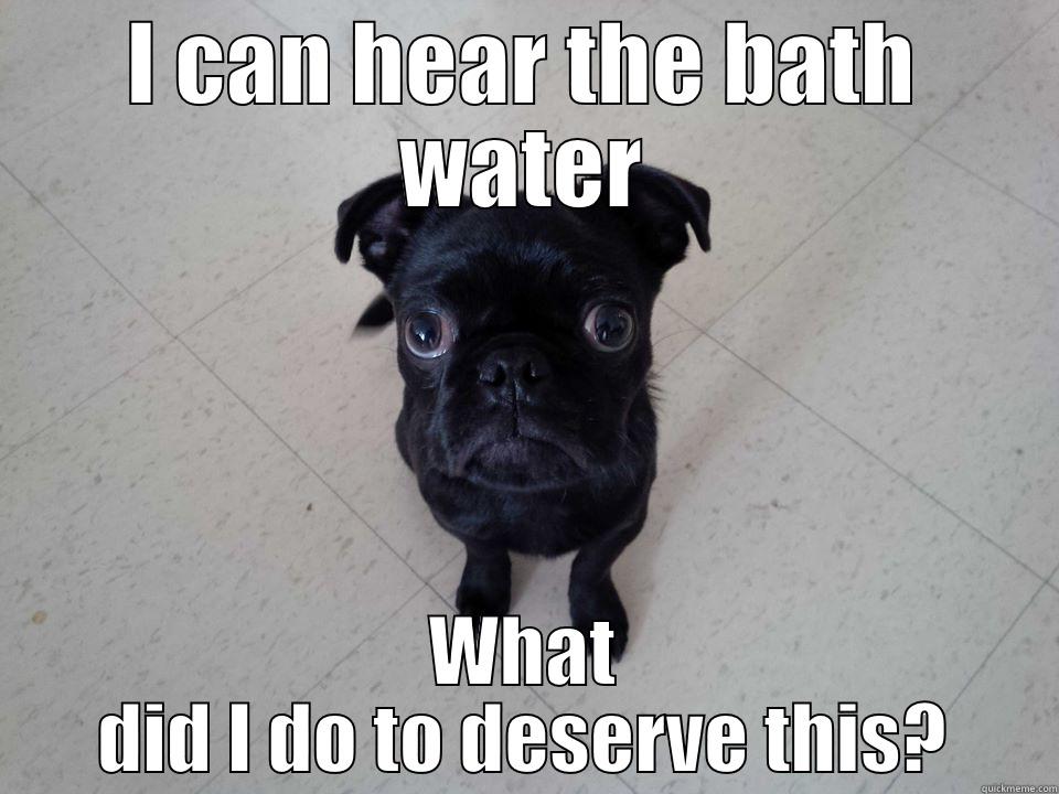 I CAN HEAR THE BATH WATER WHAT DID I DO TO DESERVE THIS? Misc