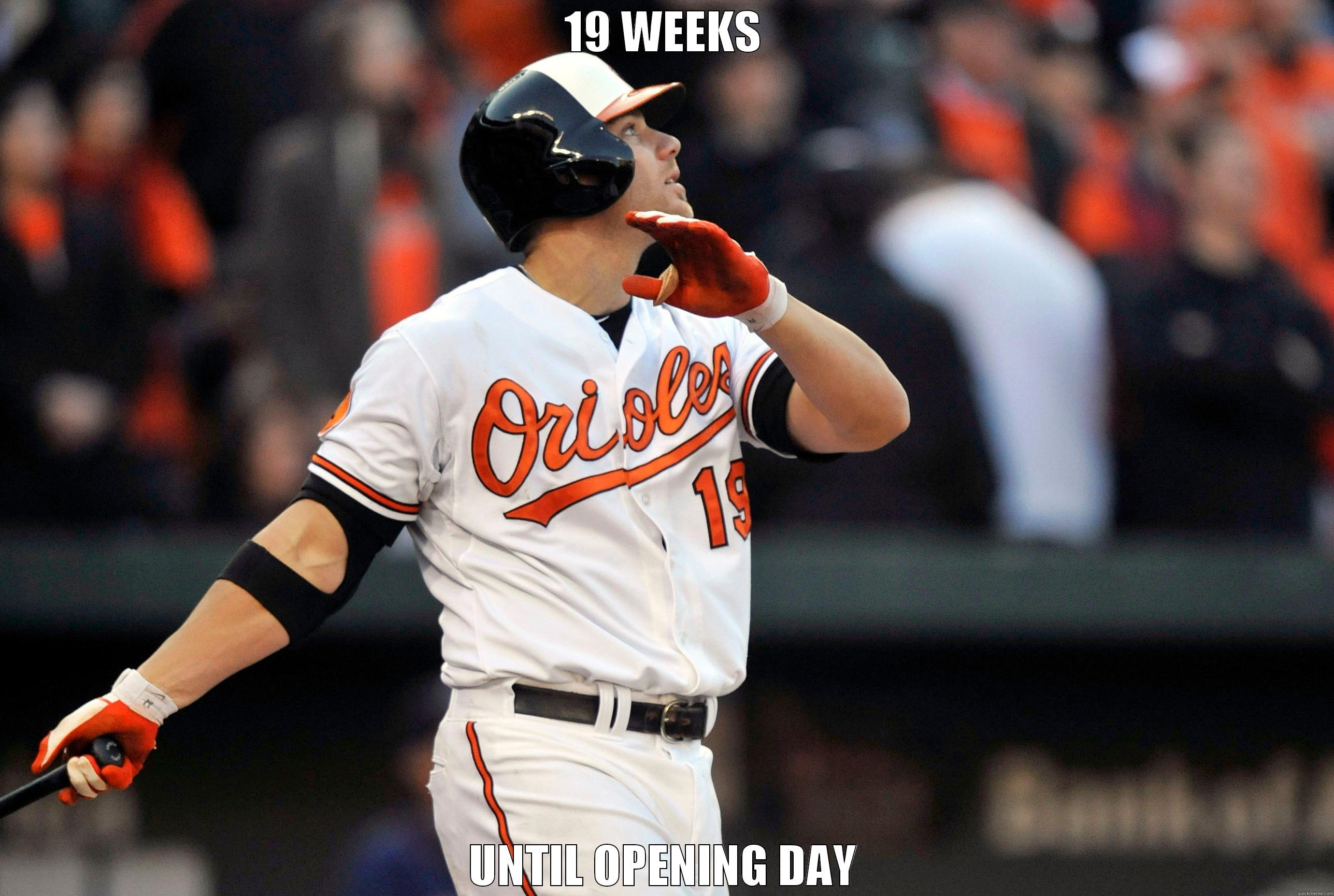 19 WEEKS UNTIL OPENING DAY Misc