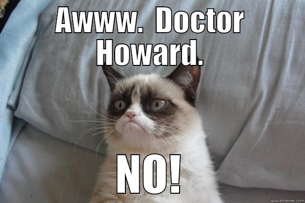 AWWW.  DOCTOR HOWARD. NO! Grumpy Cat