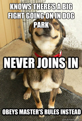 knows there's a big fight going on in dog park never joins in obeys master's rules instead��  Good Dog Greg