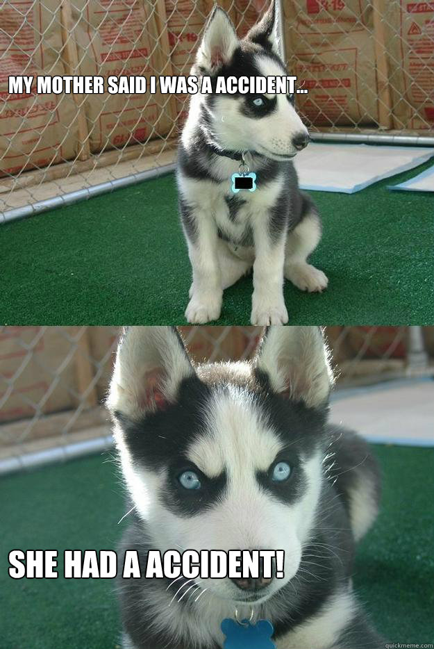 My mother said i was a accident... she had a accident!  Insanity puppy