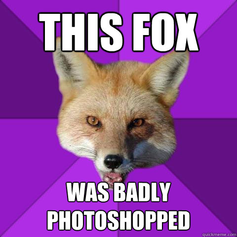 this fox was badly photoshopped  Forensics Fox