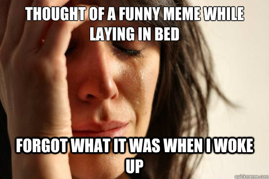 Thought of a funny meme while laying in bed forgot what it was when i woke up  First World Problems