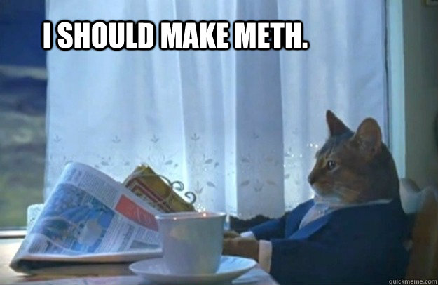 I should make meth.  Sophisticated Cat