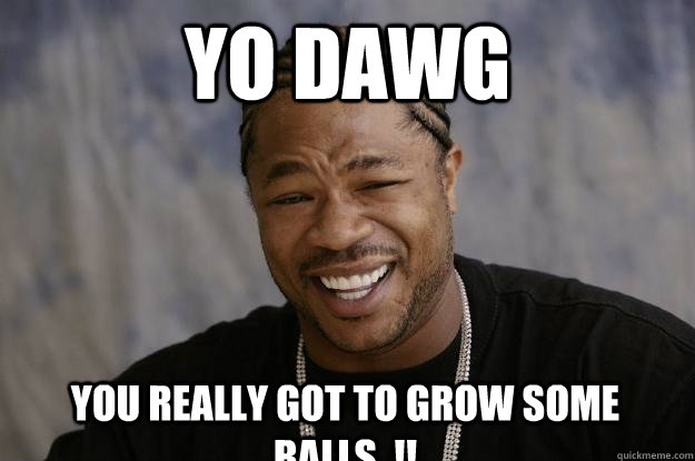 yo dawg YOU REALLY GOT TO GROW SOME BALLS..!!  Xzibit meme 2