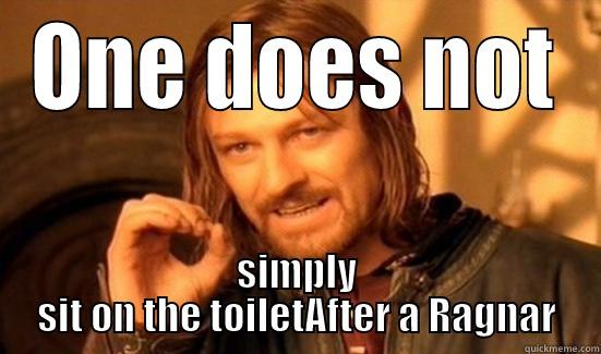 ONE DOES NOT SIMPLY SIT ON THE TOILETAFTER A RAGNAR Boromir