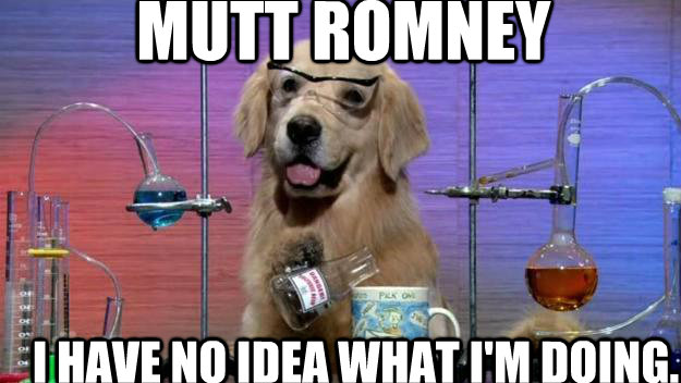 Mutt Romney I have no idea What i'm doing. - Mutt Romney I have no idea What i'm doing.  Chemistry Dog