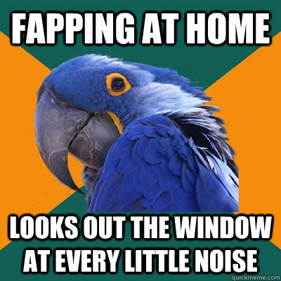 fapping at home looks out the window at every little noise  Paranoid Parrot