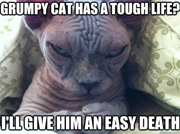 Grumpy cat has a tough life? I'll give him an easy death  Sinister Cat
