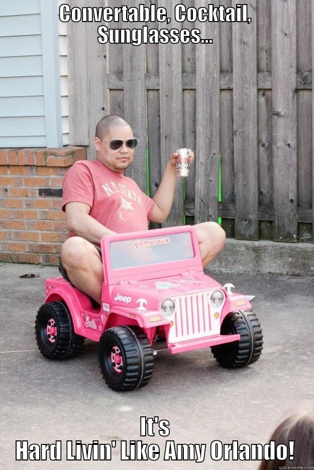 CONVERTABLE, COCKTAIL, SUNGLASSES... IT'S HARD LIVIN' LIKE AMY ORLANDO! drunk dad