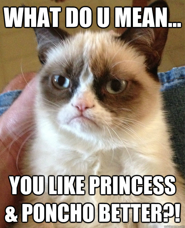 what do u mean... you like Princess & Poncho better?!  Grumpy Cat