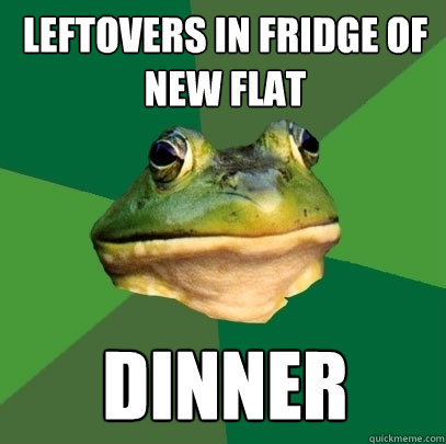 leftovers in fridge of new flat dinner  Foul Bachelor Frog