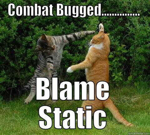 COMBAT BUGGED............... BLAME STATIC Misc