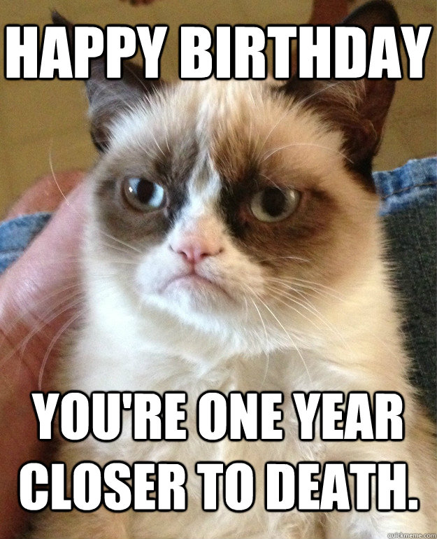 Happy Birthday You're one year closer to death.  Grumpy Cat