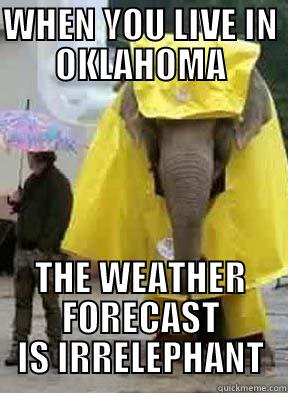 weather elephant - WHEN YOU LIVE IN OKLAHOMA THE WEATHER FORECAST IS IRRELEPHANT Misc