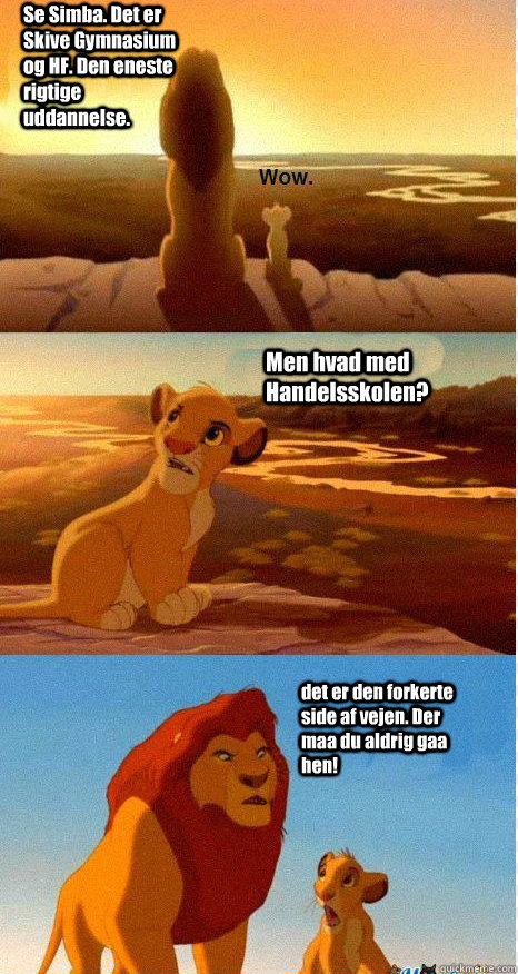 Se Simba. Det er Skive Gymnasium og HF. Den eneste rigtige uddannelse. Men hvad med Handelsskolen? det er den forkerte side af vejen. Der maa du aldrig gaa hen!  Mufasa and Simba