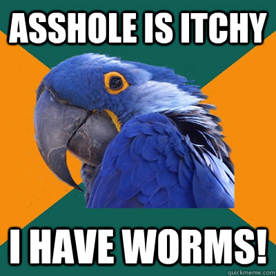 Asshole is itchy I have worms!  Paranoid Parrot