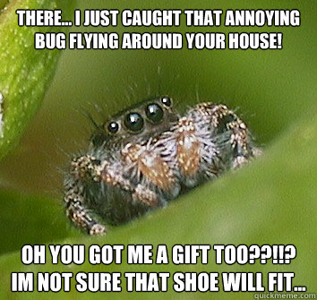 There... I just caught that annoying bug flying around your house! Oh you got me a gift too??!!? Im not sure that shoe will fit...  Misunderstood Spider