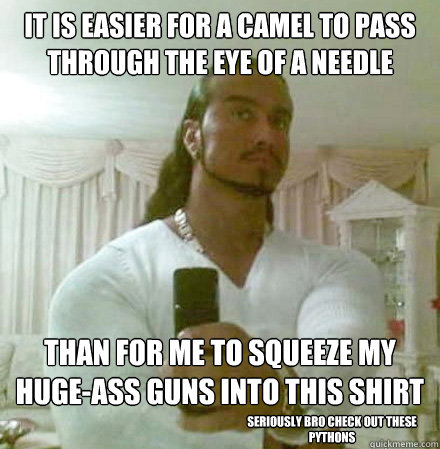 It is easier for a camel to pass through the eye of a needle than for me to squeeze my huge-ass guns into this shirt seriously bro check out these pythons  Guido Jesus