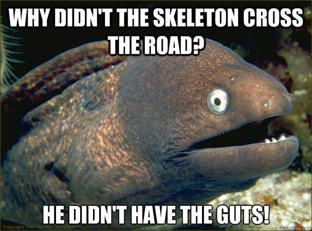 why didn't the skeleton cross the road? he didn't have the guts!  Bad Joke Eel