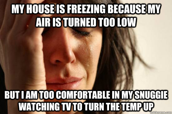 My house is freezing because my air is turned too low But I am too comfortable in my snuggie watching tv to turn the temp up  First World Problems