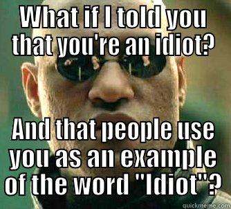 WHAT IF I TOLD YOU THAT YOU'RE AN IDIOT? AND THAT PEOPLE USE YOU AS AN EXAMPLE OF THE WORD 