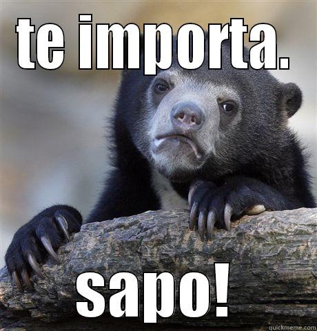TE IMPORTA. SAPO! Confession Bear
