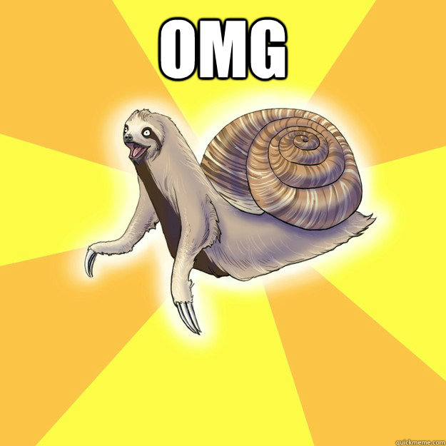 OMG   Slow Snail-Sloth