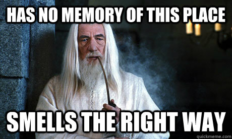Has no memory of this place smells the right way - Has no memory of this place smells the right way  Good Guy Gandalf