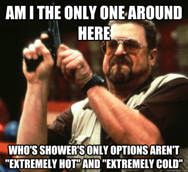 am I the only one around here Who's shower's only options aren't 